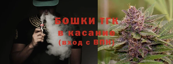 прущие грибы Майский