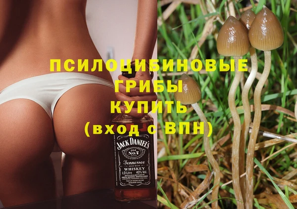 прущие грибы Майский