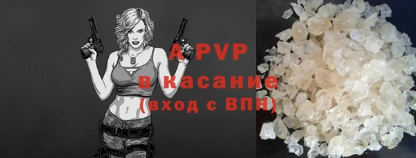 прущие грибы Майский