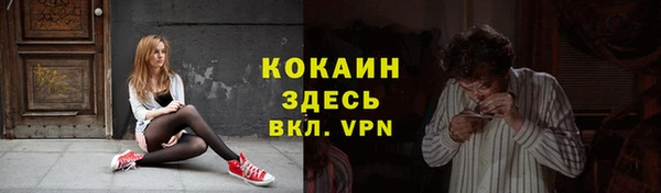 прущие грибы Майский