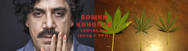 прущие грибы Майский