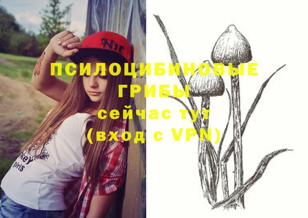 ECSTASY Медногорск