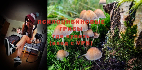 ECSTASY Медногорск