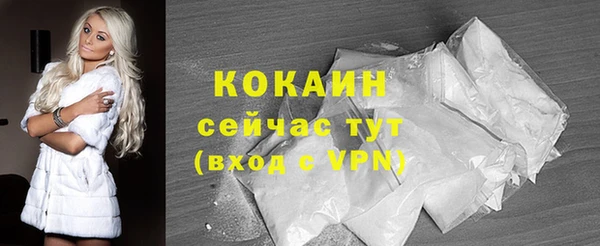 ECSTASY Медногорск