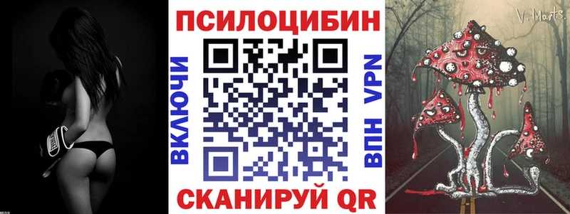 Галлюциногенные грибы Psilocybine cubensis  купить наркотик  Петропавловск-Камчатский 