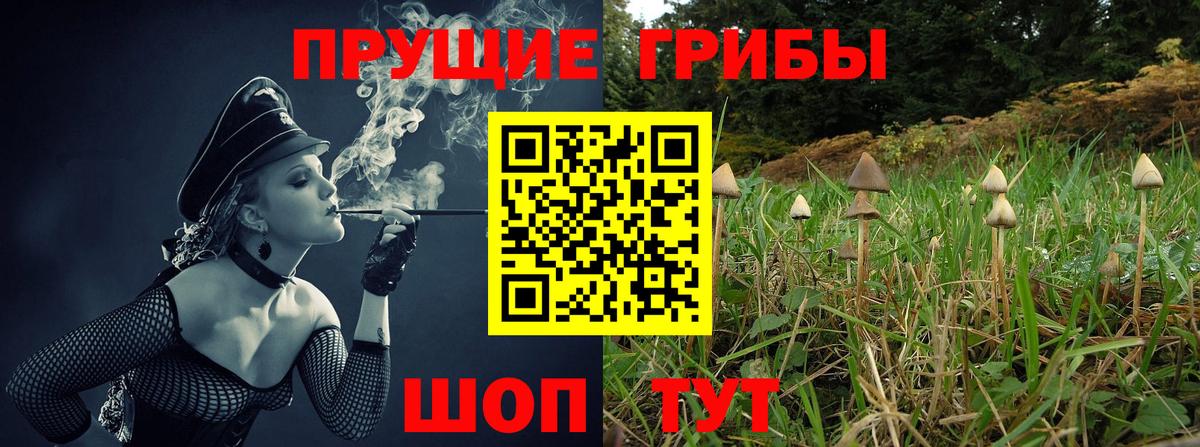 Псилоцибиновые грибы ЛСД  Петропавловск-Камчатский  Псилоцибиновые грибы MAGIC MUSHROOMS 