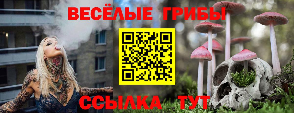 Псилоцибиновые грибы Magic Shrooms  Вход с VPN  Петропавловск-Камчатский 